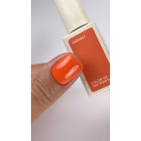 Гель-лак NAILSOFTHEDAY Color of the month September 2026 TPO free